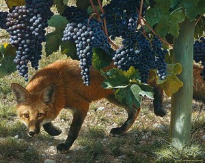Little Foxes Spoil the Vine