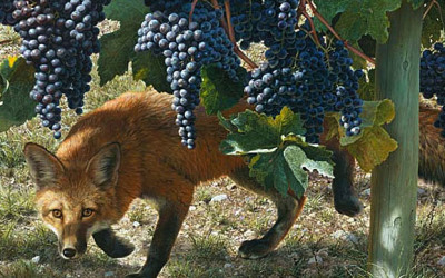 It’s the Little Foxes