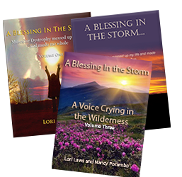 Read Samples/Free PDFs of “A Blessing in the Storm”