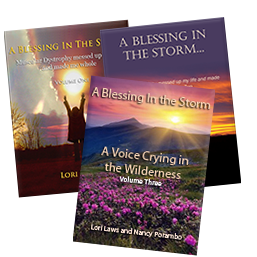 Read Samples/Free PDFs of “A Blessing in the Storm”